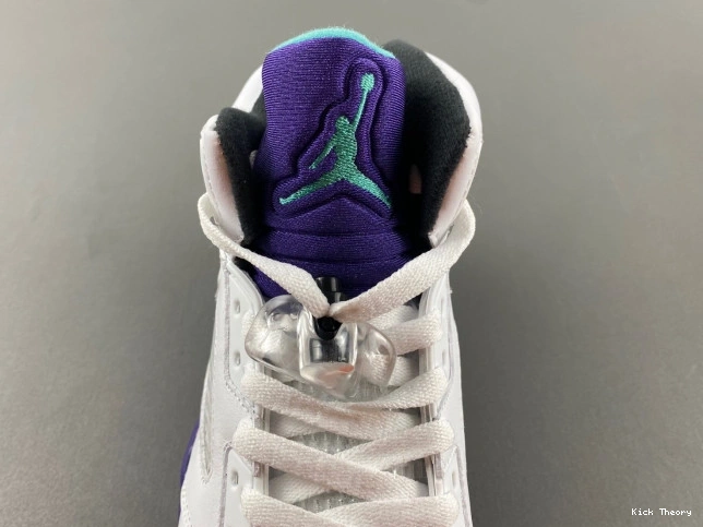 Kicktheory Jordan Air 136027-108 Retro Grape (2013) 5 0704